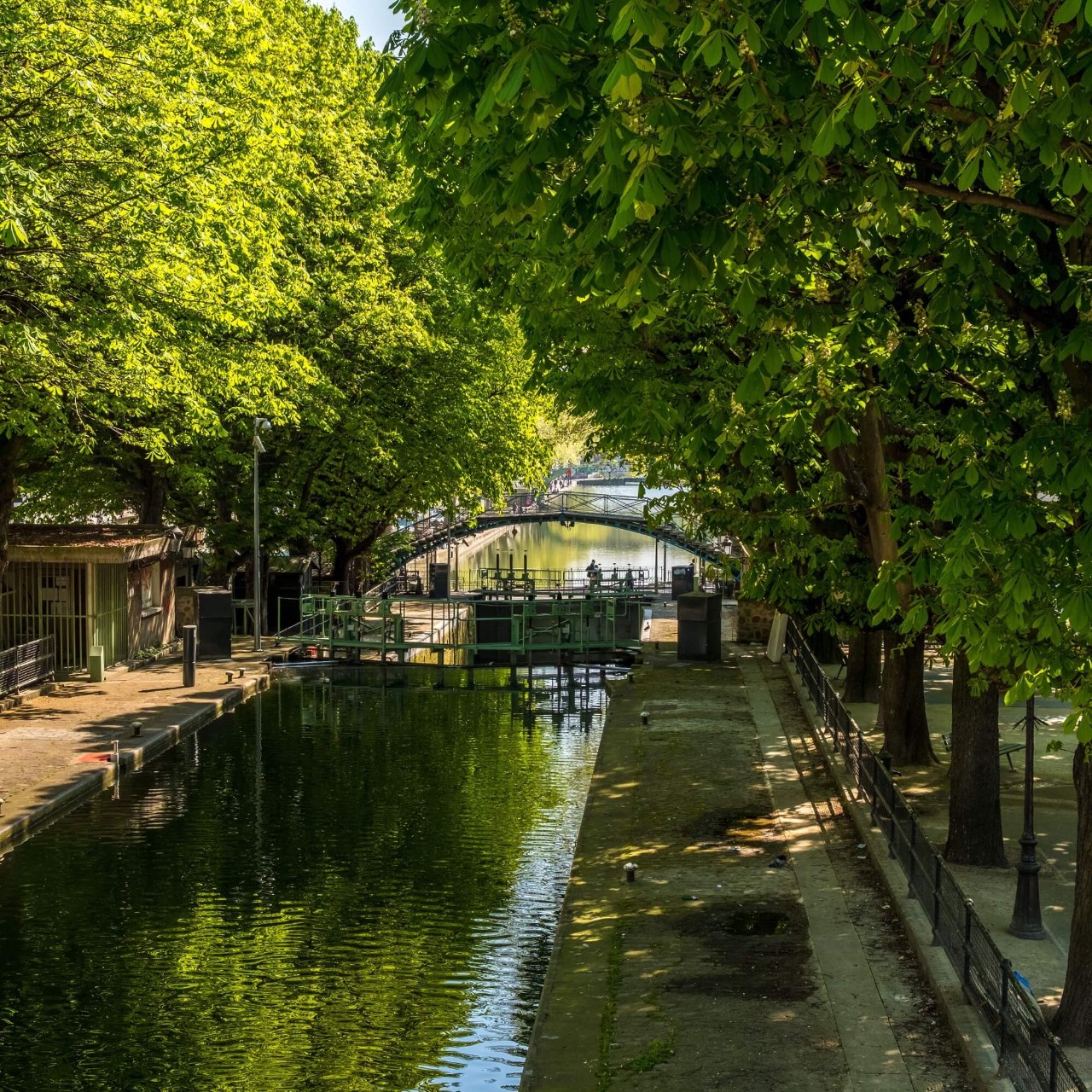 Lush trees hang over both sides of a quiet canal