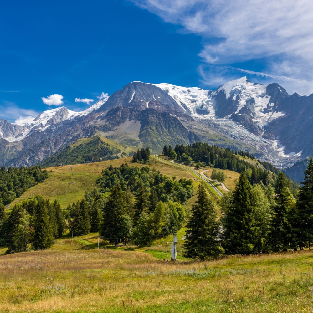 A green alpine hillside, with evergreen trees and mountains in the background