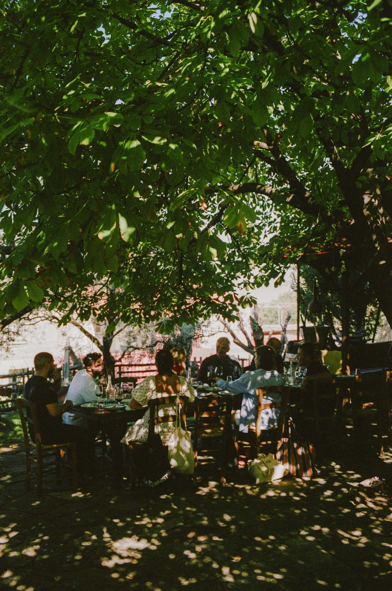 A group of people sit and eat at a long outdoor table under the shade of trees